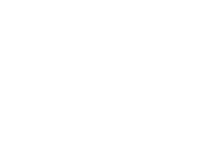 Forest ecosystems (image)